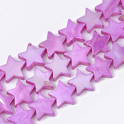Фиолетовый Пресноводных оболочки бисер нитей, с покрытием AB цвета, окрашенные, звезда, фиолетовые, 12x12.5x3 мм, отверстие : 1 мм, около 35 шт / нитка, 15.55 дюйм (39.5 см)