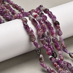 Лепидолит Натуральный лепидолит / пурпурный слюдяный камень бисер пряди, самородки, 6~10x5~8x3~5 мм, отверстие : 0.8 мм, около 43~52 шт / нитка, 15.08''~15.31'' (38.3~38.9 см)