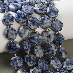 (306FM) Жонкиль матовый с лаймовой подкладкой Натуральное синее пятно нитки из бисера яшмы, граненый шестиугольный разрез, шестиугольник, с бисером, 12x13x5 мм, отверстие : 1 мм, около 27 шт / нитка, 14.88~15.43 дюйм (37.8~39.2 см)