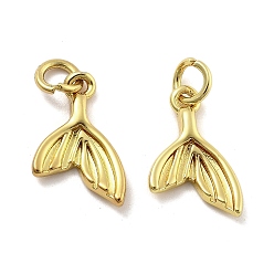 Fish Латунные подвески, без кадмия, без никеля и без свинца, морские животные амулеты, с целью перехода в кольце, рыба, 15.5x9.5x2.5 мм, отверстие : 3 мм