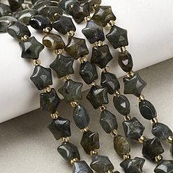 Лабрадорита Природные лабрадорита бисер нитей, толстая звезда, с бисером, 9~9.5x10x6 мм, отверстие : 0.8 мм, около 35~36 шт / нитка, 14.76''~15.24'' (37.5~38.7 см)