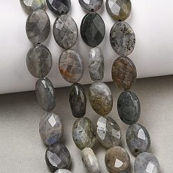 Лабрадорита Природные лабрадорита бисер нитей, граненые, Плоско-овальные, 14x10x6 мм, отверстие : 1.2 мм, около 28 шт / нитка, 15.35'' (39 см)