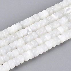Морская Ракушка Натуральная оболочка из трохидных оболочек, рондель, сгладить, цвет морской раковины, 5x3 мм, отверстие : 0.5~0.6 мм, около 126~129 шт / нитка, 15.35~15.75 дюйм (39~40 см)