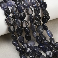 Айолит Природные иолит нитей бисера, самородки, упавший камень, 8~13x8~10x4.5~6 мм, отверстие : 1 мм, около 22~23 шт / нитка, 7.68~8.07 дюйм (19.5~20.5 см)