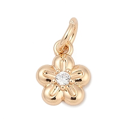 Цветок Латунные микро проложить кубического циркония прелести, с целью перехода в кольце, реальный 18 k позолоченный, цветок, 9.5x7.5x2.5 мм, отверстие : 3.5 мм