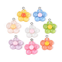 (52) Непрозрачная лаванда Прозрачные смоляные подвески, , с платиновыми железными петлями и блестящей пудрой, разноцветные, 24~25x21~22x6~6.5 мм, отверстие : 2 мм