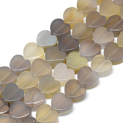 Grey Agate Natural Grey Agate Bead Strands, Heart, 10x10x5mm, Hole: 1.5mm, about 40pcs/strand, 14.5 inch