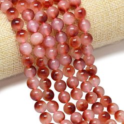 Лосось Натуральный Malaysia нефритовые бусы пряди, окрашенная и подогревом, круглые, salmon, 8 мм, отверстие : 1 мм, около 48 шт / нитка, 15.08''~15.16'' (38.3~38.5 см)
