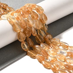 Другие Арбузы Арбуз камень стеклянные бусы пряди, слеза, 13.5~14x10~10.5x5 мм, отверстие : 1 мм, около 27~28 шт / нитка, 37.3~38.3 см