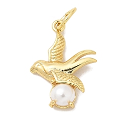 Птица Стойки обшивки латунные подвески, с ABS имитации жемчуга, долговечный, без свинца и без кадмия, реальный 18 k позолоченный, птица, 26.5x19.5x5.5 мм, отверстие : 6 мм
