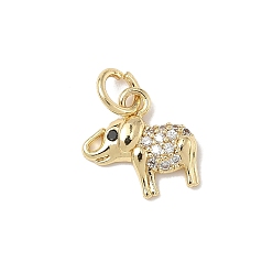 Слон Латунные микро проложить кубического циркония прелести, без кадмия и без свинца, реальный 18 k позолоченный, с целью перехода в кольце, слон, 11x11x2 мм, отверстие : 3 мм