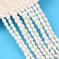 Папайя Оранжевый Нити из натурального культивированного пресноводного жемчуга, рис, класс +, papayawhip, 5~6 мм, отверстие : 0.6 мм, около 45~54 шт / нитка, 12.99~13.78'' (33~35 см)