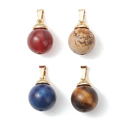 (52) Непрозрачная лаванда 4 шт. 4 стили подвесок из натурального лазурита, карнеола, тигрового глаза и яшмы с рисунком, круглые подвески 304 с защелками из нержавеющей стали, золотые, смешанные окрашенные и неокрашенные, разноцветные, 17x13 мм, отверстие : 5x2.5 мм, 1 шт / стиль