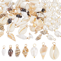Mixed Shapes 20шт. натуральный культивированный пресноводный жемчуг и 60шт. 6 стили комплекты фурнитуры из натуральных смешанных ракушек, разнообразные, 16~27x4~13x9~10x4~9 мм
