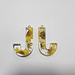 Letter J Подвески из прозрачной эпоксидной смолы, подвески-буквы с петлями, буква J, 45x27.5x7 мм, отверстие : 2 мм