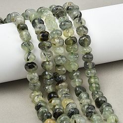 Пренит Природные пренит нитей бисера, самородки, упавший камень, 9~10x8~9x4~6.5 мм, отверстие : 0.8 мм, около 54~55 шт / нитка, 15.16''~15.35'' (38.5~39 см)