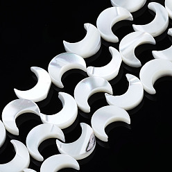 Морская Ракушка Натуральная оболочка из трохидных оболочек, луна, отбеливатель, цвет морской раковины, 10x8x2.5 мм, отверстие : 0.5 мм, около 40~41 шт / нитка, 14.57~14.96 дюйм (37~38 см)