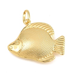 Real 18K Gold Plated Brass Pendants, Tropical Fish Charms, Rack Plating, Long-Lasting Plated, Lead Free & Cadmium Free, Real 18K Gold Plated, 38x43x8.5mm, Hole: 6.5x9.5mm