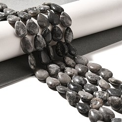 Камень Карты Натуральная карта каменные бусы пряди, слеза, 13.5~14x10~10.5x5 мм, отверстие : 1 мм, около 27~28 шт / нитка, 37.3~38.3 см