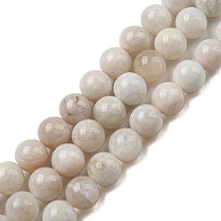 Rainbow Moonstone Бусины из натурального радужного лунного камня, класса AB, круглые, 10 мм, отверстие : 0.8 мм, около 39 шт / нитка, 15.35 дюйм (39 см)