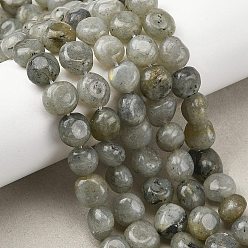 Лабрадорита Природные лабрадорита бисер нитей, самородки, упавший камень, 9~12x8~10x3~9 мм, отверстие : 1 мм, около 36~41 шт / нитка, 15.08''~15.87'' (38.3~40.3 см)