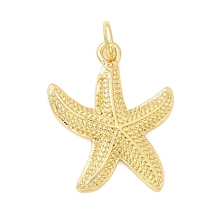 Морская звезда Латунные подвески, с целью перехода в кольце, стойки покрытие, долговечный, без свинца и без кадмия, реальный 18 k позолоченный, морская звезда, 19.5x16x3 мм, отверстие : 3.5 мм