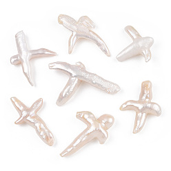 Морская Ракушка Натуральный кеши жемчуг бисер, культивированный пресноводный жемчуг, нет отверстий / незавершенного, крестик, цвет морской раковины, 37~59.5x28.5~39x8~11 мм