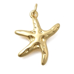 Настоящее золото 18K Латунные подвески, прелести морская звезда, без кадмия и без свинца, стойки покрытие, долговечный, с целью перехода в кольце, реальный 18 k позолоченный, 21x18x3 мм, отверстие : 3 мм