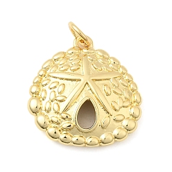 Настоящее золото 18K Латунные подвески, шарм песчаного доллара, формы раковины, долговечный, без свинца и без кадмия, стойки покрытие, с целью перехода в кольце, реальный 18 k позолоченный, 19x18.5x4 мм, отверстие : 3.5 мм