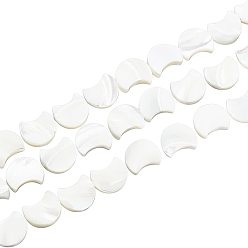 White 1 Strand Natural White Shell Beads Strands, Mother of Pearl Shell Beads, Moon, White, 12x11x3mm, Hole: 1mm, about 34pcs/strand