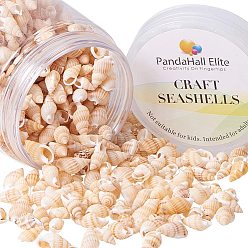 Mixed Color Shell Beads, Undrilled/No Hole Beads, Mixed Color, 40~52x36~46x6mm