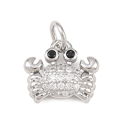 Платина Латунные микропаве прозрачные кубические циркониевые подвески, краб, долговечный, без кадмия и без свинца, стойки покрытие, с целью перехода в кольце, платина, 10x11.5x3.5 мм, отверстие : 3.4 мм