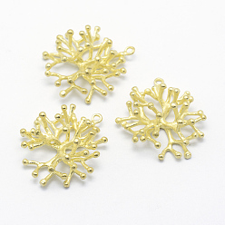 Без Покрытия Латунные подвески, без свинца, без кадмии и без никеля, коралловые кластеры, сырой (без покрытия), 32x27x11.5 мм, отверстие : 1.5 мм