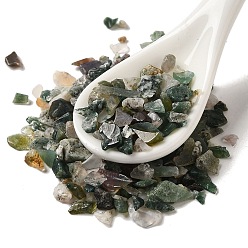 Мосс Агат Природные моховой агат бисером, бусины без отверстий , чипсы, 2.5~9x2~4 мм