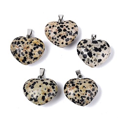 Далматинских Джаспер Природные яшмы далматин подвески, сердце прелести, с защелкой из нержавеющей стали на поручнях, цвет нержавеющей стали, 21~24x22~24x8.5~11.5 мм, отверстие : 6.5~7.5x2~3 мм