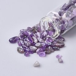 Amethyst Glass Wishing Bottle, For Pendant Decoration, with Amethyst Chip Beads Inside and Cork Stopper, 22x71mm