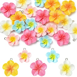 Mixed Color 20Pcs 5 Colors Plumeria Resin Pendants, with Platinum Iron Loop, Mixed Color, 24.5x20.5x5.5mm, Hole: 2mm, 4pcs/color