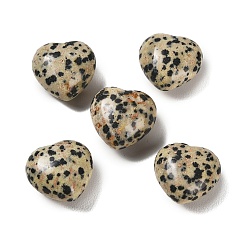 Dalmatian Jasper Natural Dalmatian Jasper Heart Love Stone, Healing Pocket Palm Stone for Reiki Balancing, 19~21x20~21x11~12mm