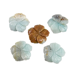Flower Amazonite Подвески из натурального цветка амазонита с резьбой, , 28.5x29.5x5 мм, отверстие : 1.2 мм