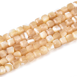 пшеница Натуральная оболочка из трохидных оболочек, граненый стол, вырезанный куб, цвет пшеницы, 3~3.5x3~3.5x3~3.5 мм, отверстие : 0.7 мм, около 115~117 шт / нитка, 15.16~15.35 дюйм (38.5~39 см)