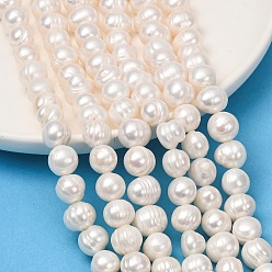 Old Lace Natural Cultured Freshwater Pearl Beads Strands, Potato, Grade 2A+, Old Lace, 10~11mm, Hole: 0.6mm, about 36pcs/strand, 13.78''(35cm)