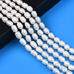Seashell Color Natural Cultured Freshwater Pearl Beads Strands, Rice, Seashell Color, 8.5~12x6.5~7.5mm, Hole: 0.8mm, about 32~39pcs/strand, 13.82 inch~14.37 inch(35.1cm~36.5cm)