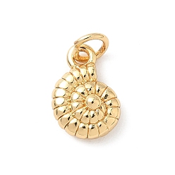 Настоящее золото 18K Латунные подвески, подвески в форме раковины, без свинца и без кадмия, долговечный, настоящий, стойки покрытие, с целью перехода в кольце, реальный 18 k позолоченный, 13x9x4.5 мм