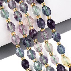 Флюорит Природных красочные флюорита бисер нитей, граненые, овальные, с бисером, 8~9x6~8 мм, отверстие : 1~1.2 мм, около 17~19 шт / нитка, 7.09~7.87 дюйм (18~20 см)