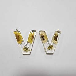Letter V Подвески из прозрачной эпоксидной смолы, подвески-буквы с петлями, Буква V, 42x38x8 мм, отверстие : 2 мм