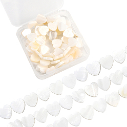 Кремово-белый 2 нити из натуральных пресноводных бусин из ракушек, сердце, кремово-белые, 12~13x12~14x3 мм, отверстие : 0.8 мм, около 30 шт / нитка, 14.96 дюйм ~ 15.35 дюйм (38 см)