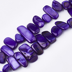 Индиго Пресноводных оболочки бисер нитей, окрашенные, самородки, индиговые, 6~25x4~14x3~7 мм, отверстие : 1 мм, около 96~100 шт / нитка, 31.4 дюйм