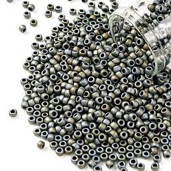 (613) Matte Color Iris Gray Тохо 8/0 круглые бусины, японский бисер, (613) матовый цвет радужной оболочки, 3 мм, отверстие : 1 мм, Около 222 шт / 10 г