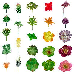 Mixed Color PVC Artificial Succulent Plant, Home Decoration, Pretending Prop Decorations, Mixed Color, 60~130x40~130mm, 24pcs/set