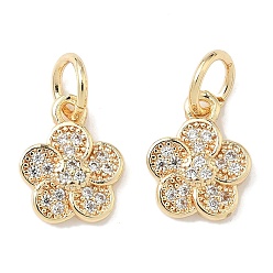 Золотой Латунные микро проложить кубического циркония подвески, , стойки покрытие, долговечный, с целью перехода в кольце, золотые, 11.5x9x2.5 мм, отверстие : 4.3 мм